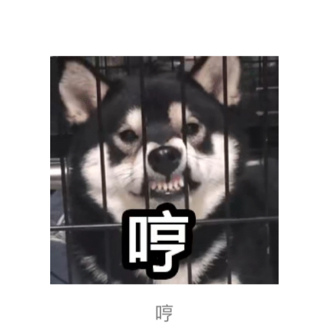 工牌957