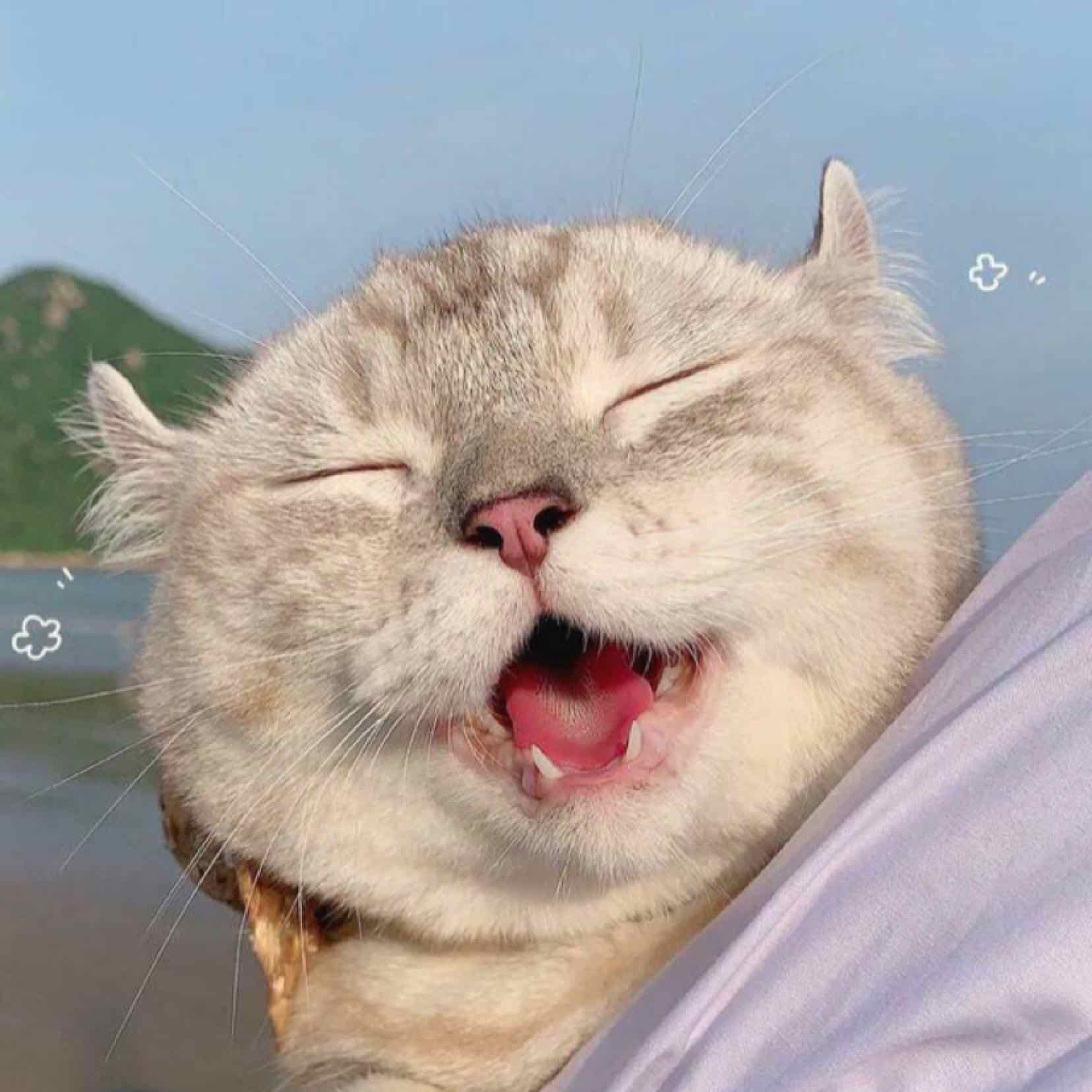 先先貝啊