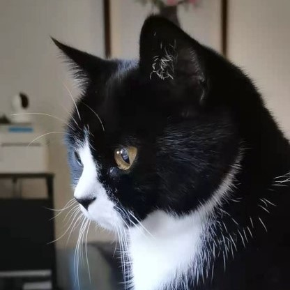 老八零