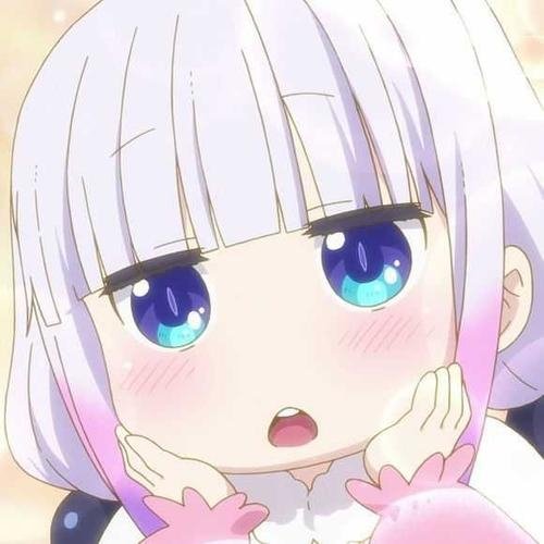 迷糊的白狐
