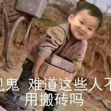 流落觀星客