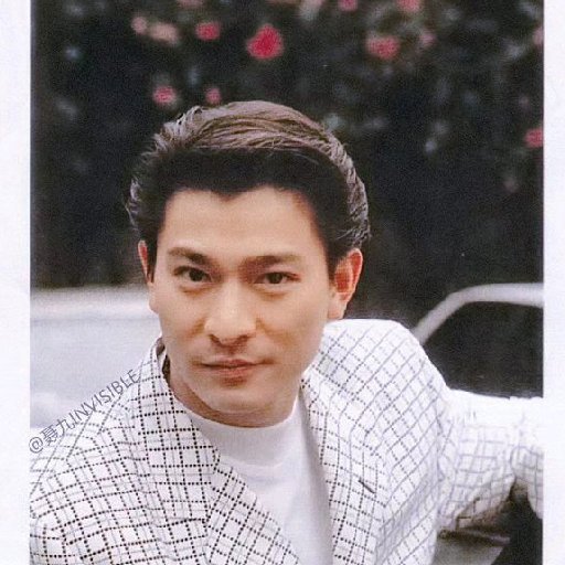 如木如諸