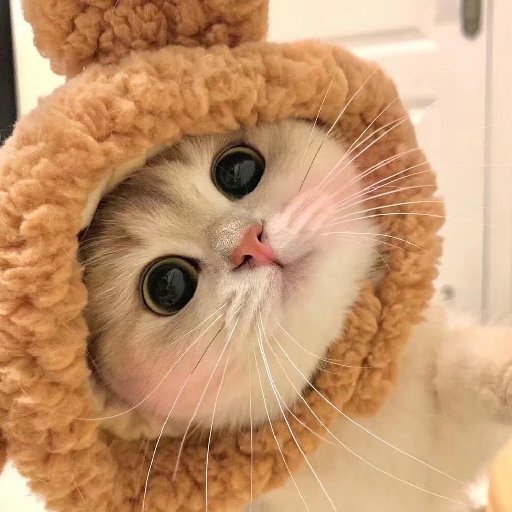 咪了個秋小秋