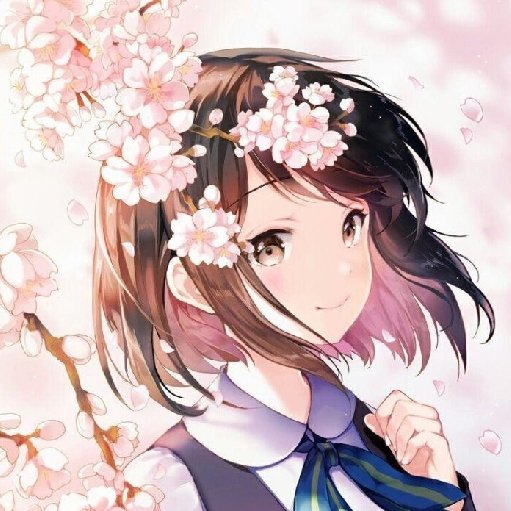 拜月貍