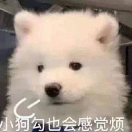 奶玫