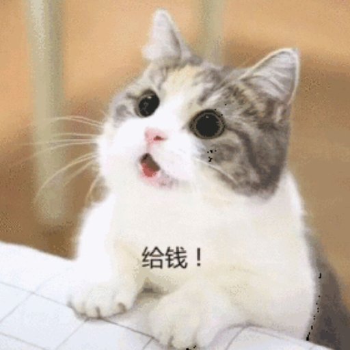 至尊小魔