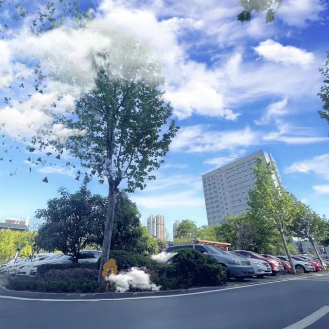 我不是焦煒