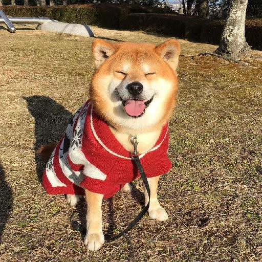 轟度