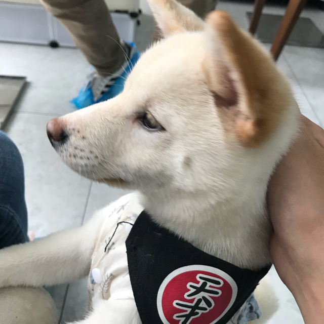 椒鹽核桃