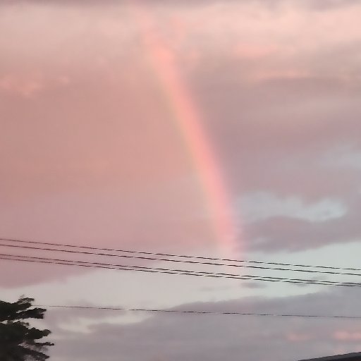 江上一條魚