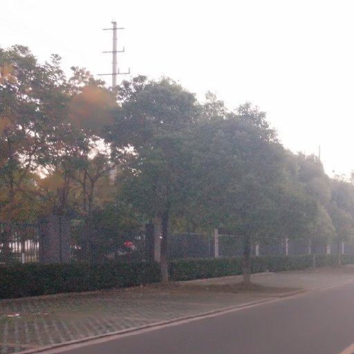 狒狒老仙兒