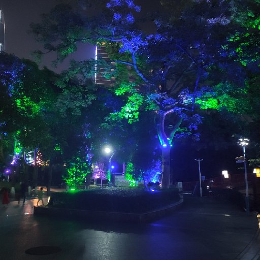 無情是你