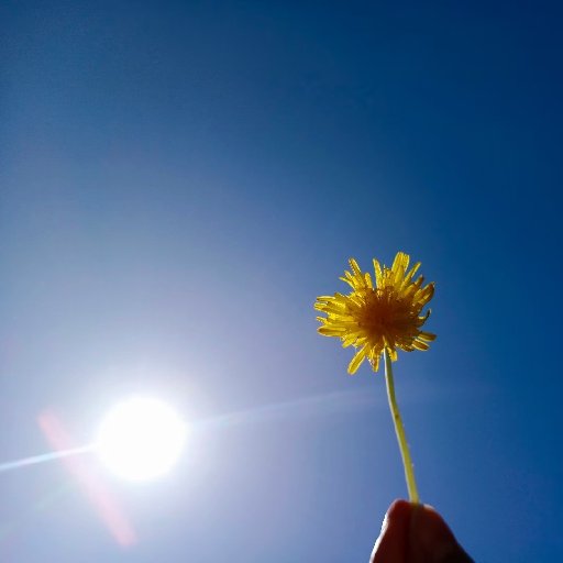 香菜加蔥花