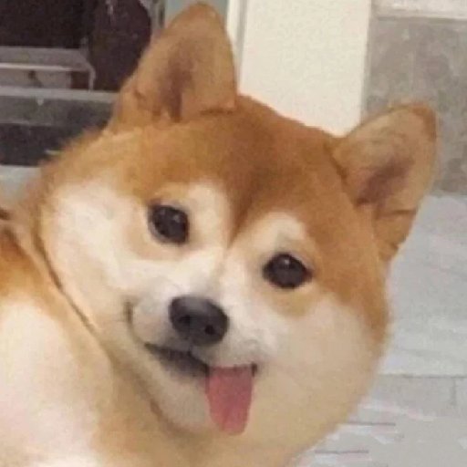 江圭