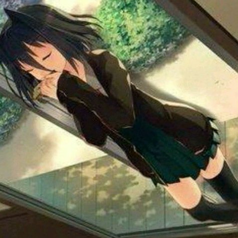 科西嘉14