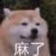 純血二哈