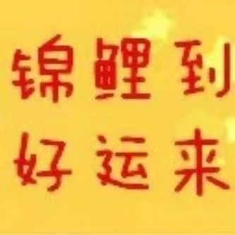 命運錦鯉