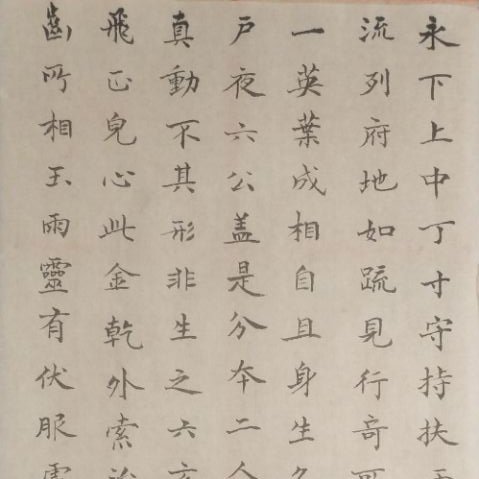 歲在丁巳的魚