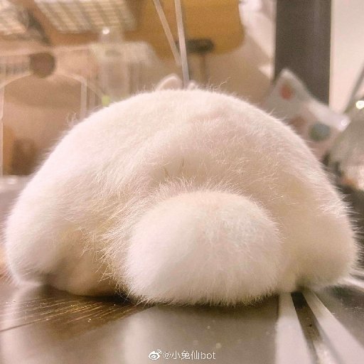 蘇小晚晚