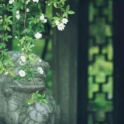 漫川風(fēng)雨