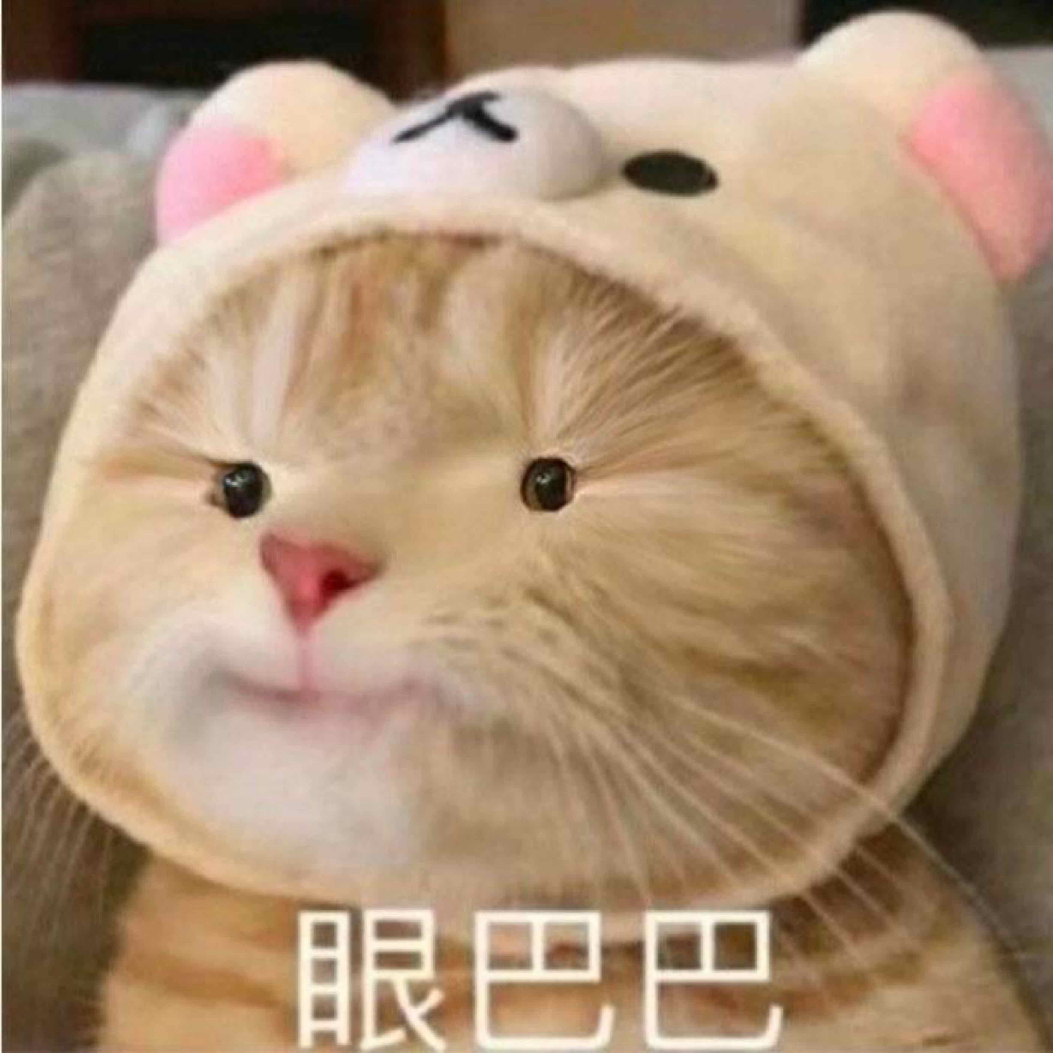果桑酒
