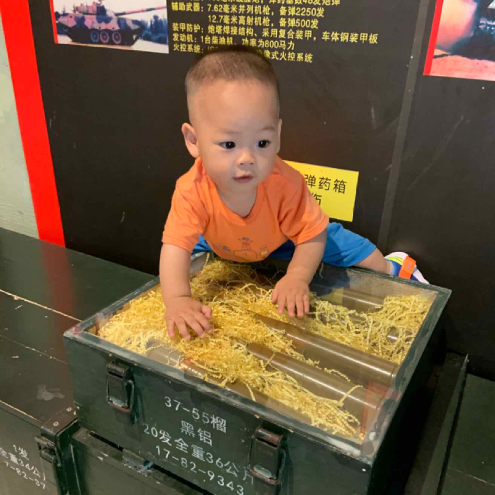 金鴻飛飛