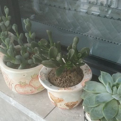 鍵盤戰斗家