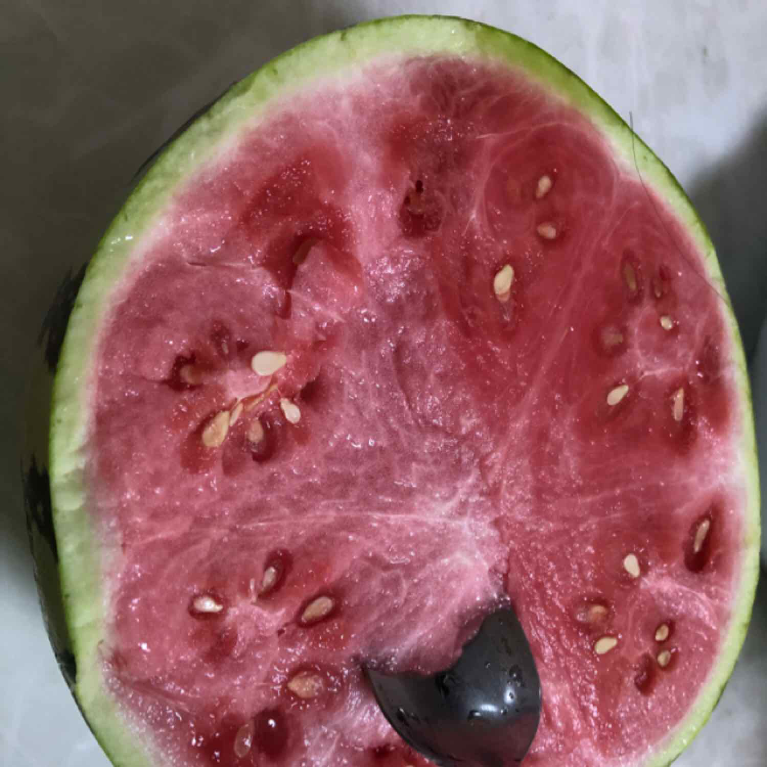 果凍陳