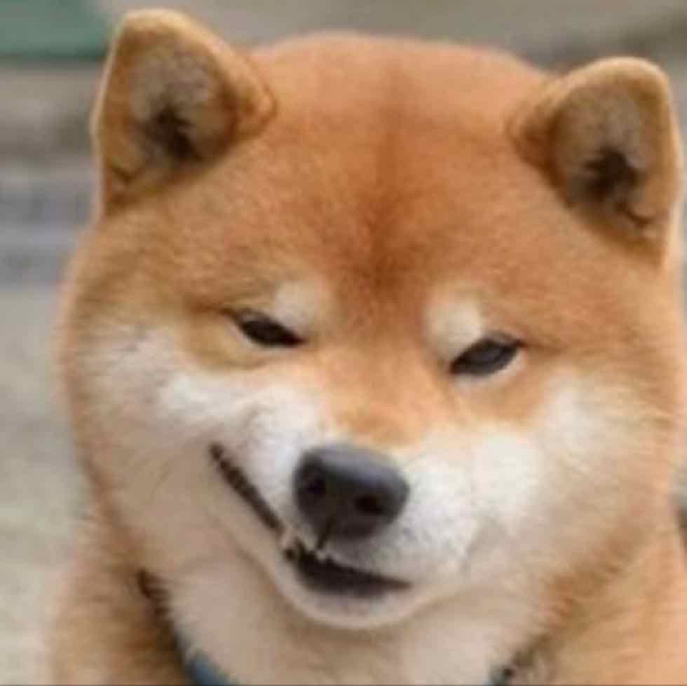 文不良言亦丑