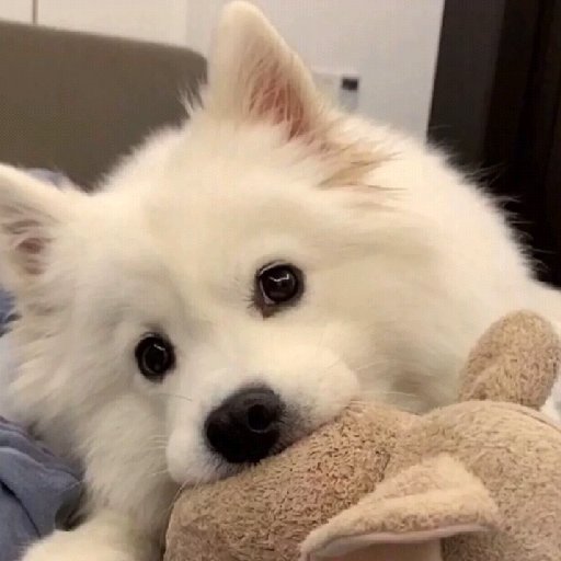 工藤鈴子