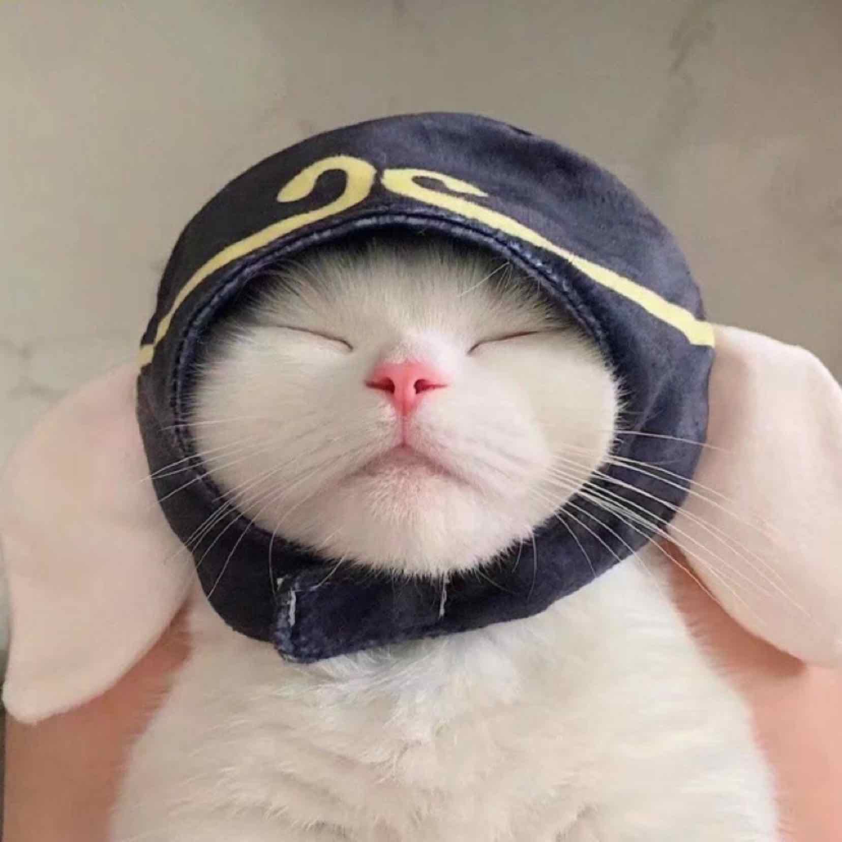 星海先鋒