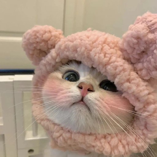 林嬪嬪