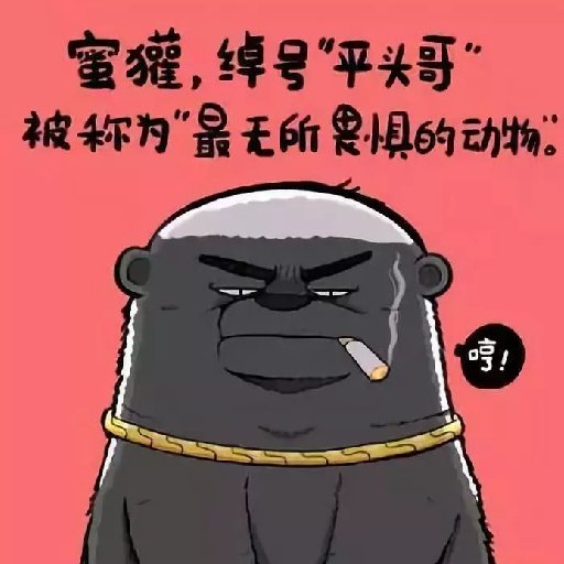 一只么么噠的蜜獾