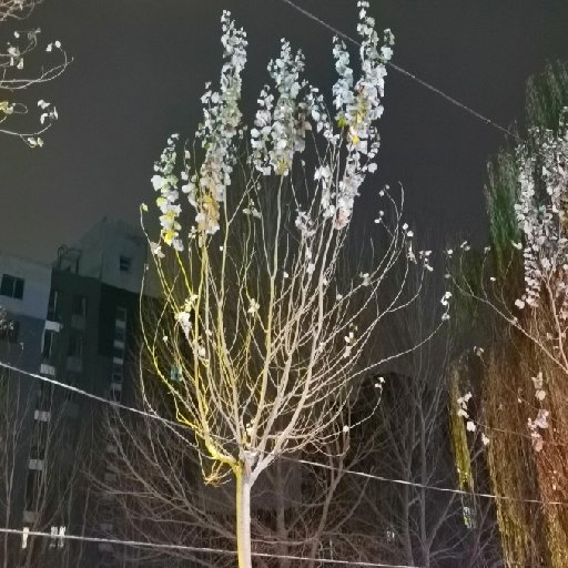 秋夜不寒