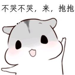 豬熊