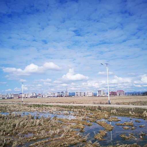 余額不存
