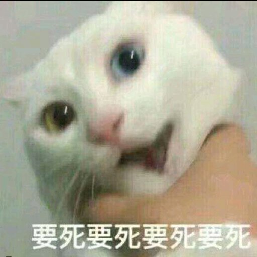 腸粉加辣