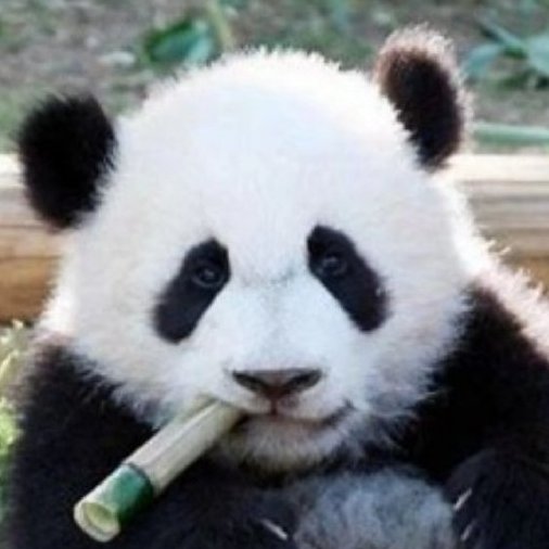 云輕先生