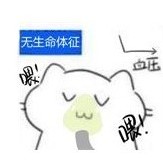 一只菜擼狗