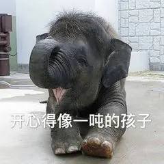 三輪大叔