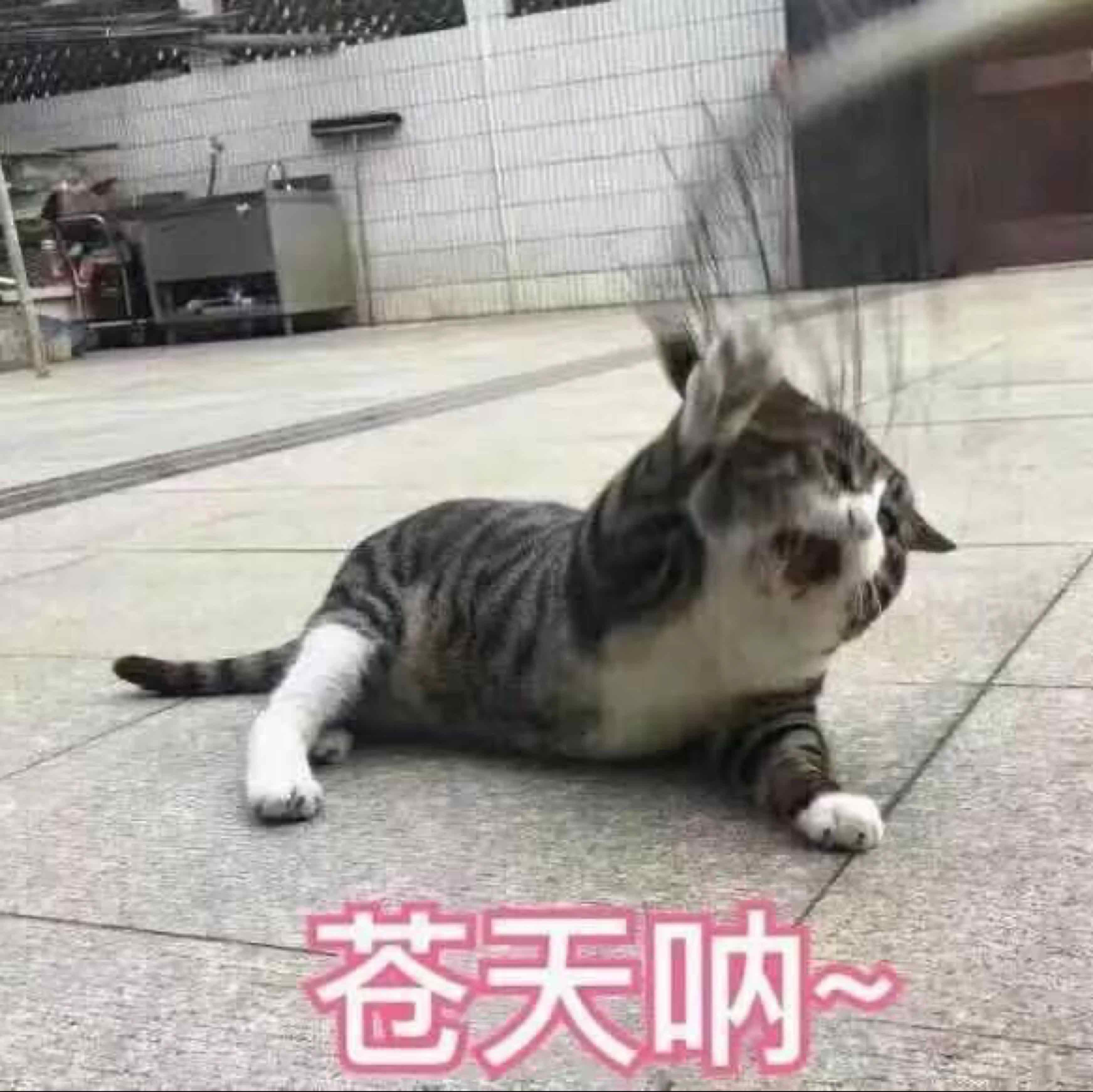 落日彌漫的星空