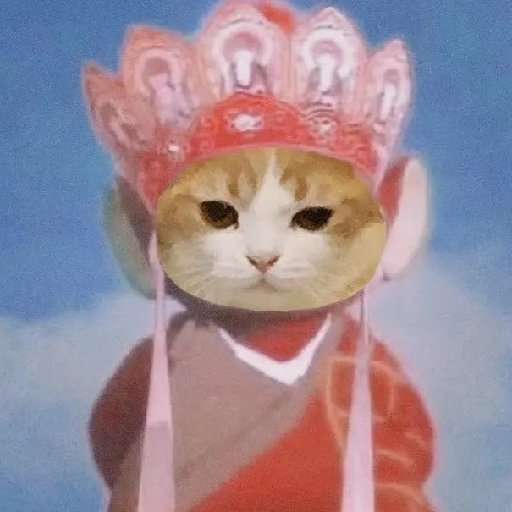 山間全是松子