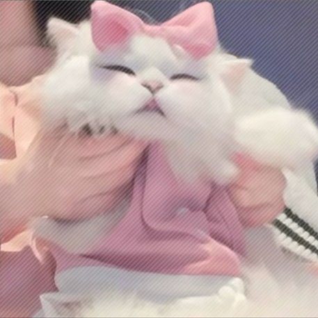 帝挽月