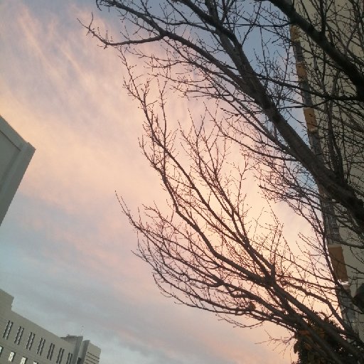 曦兒姐
