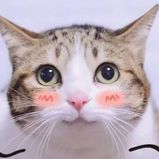 九月的波濤