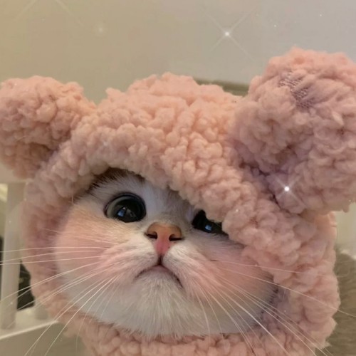 卡河里