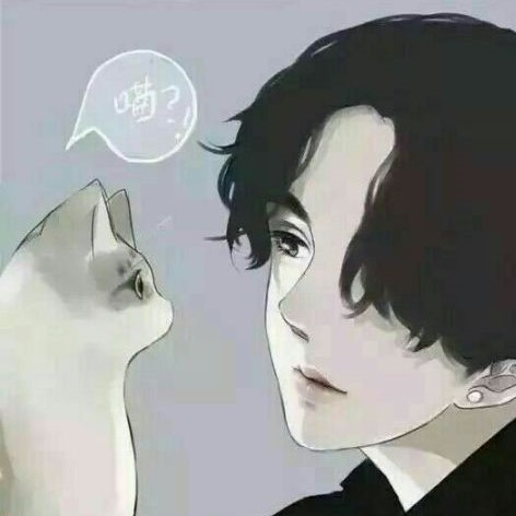 喵拳警告