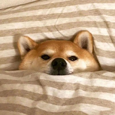 江渚秋月