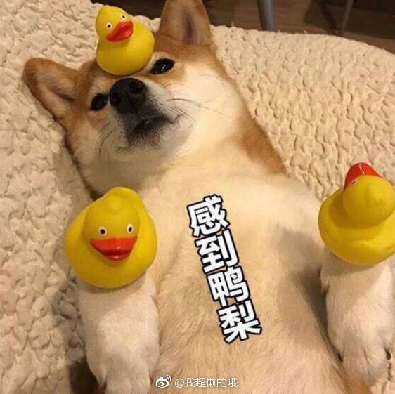 似楊不是羊