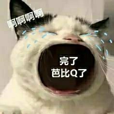 愛吃的涼皮君